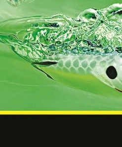 Spro.com BRONZEYE SHAD 65