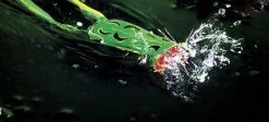 Spro.com Bronzeye Frog BRONZEYE POP 60