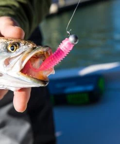 Spro.com Wave Tail Grub 3" Wave Tail Grubs