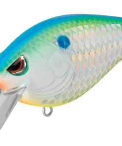 Spro.com HUNTER CRANK 65 SB Crankbait