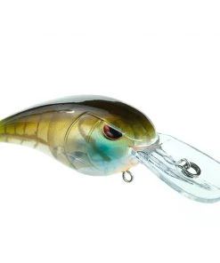 Spro.com RkCRAWLER MD 55 MEDIUM DIVER