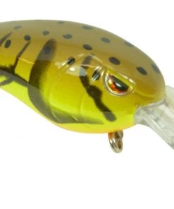 Spro.com RkCRAWLER MD 55 MEDIUM DIVER