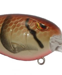 Spro.com Crankbait RkCRAWLER 55