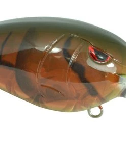 Spro.com RkCRAWLER MD 55 MEDIUM DIVER