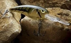 Spro.com Crankbait RkCRAWLER 55