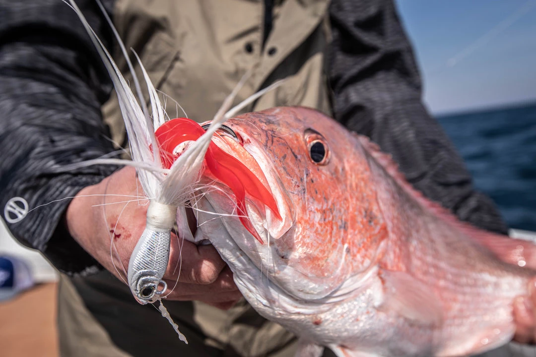 Spro.com POWER BUCKTAIL JIG WHITE